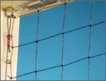 Bird Net